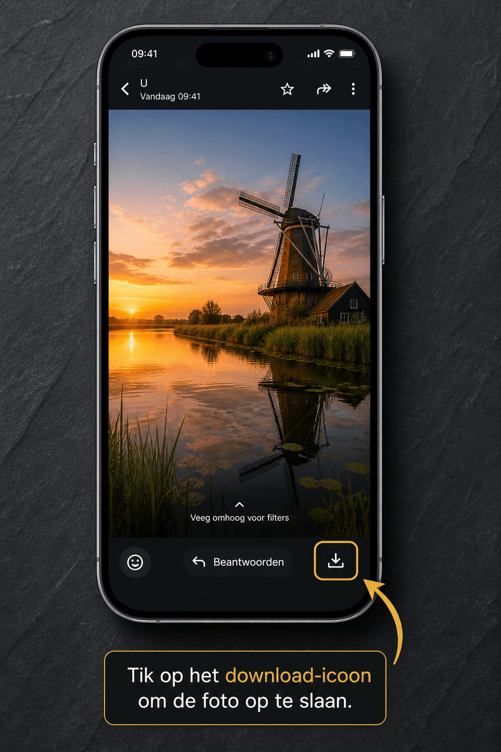 Grote foto-weergave met markering bij de downloadknop